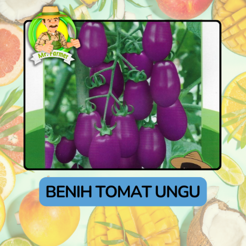Benih Buah Buahan Bibit Biji Tanaman Organik Benih Buah Buahan Bibit Biji Tanaman Organik