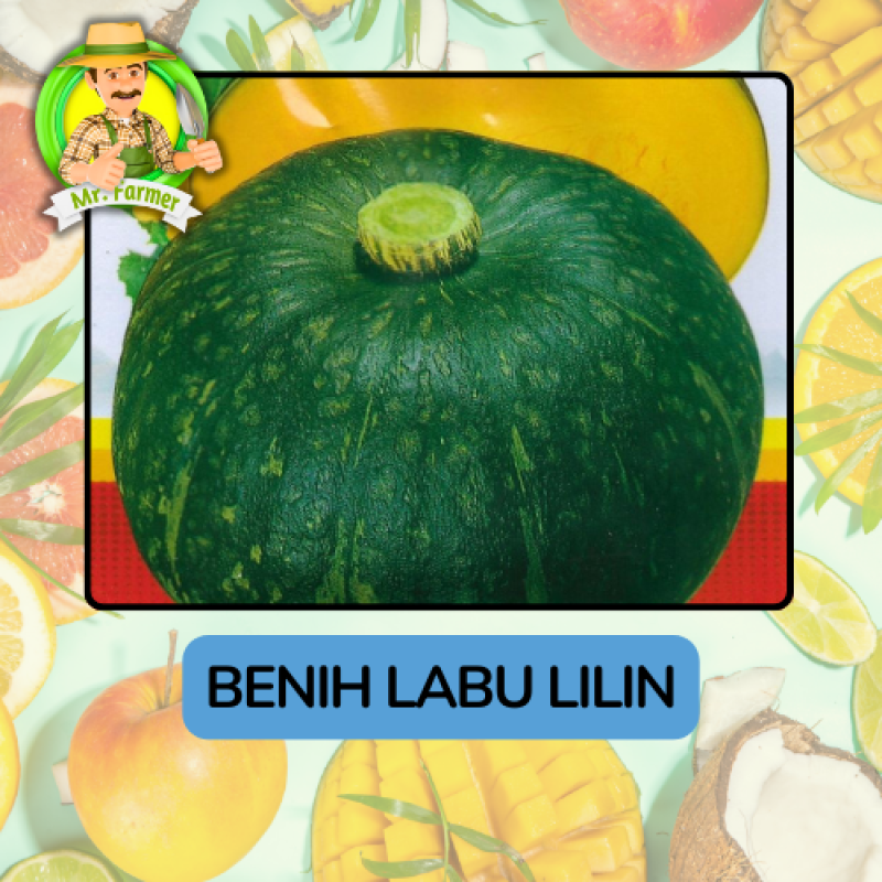 Benih Buah Buahan Bibit Biji Tanaman Organik Benih Buah Buahan Bibit Biji Tanaman Organik