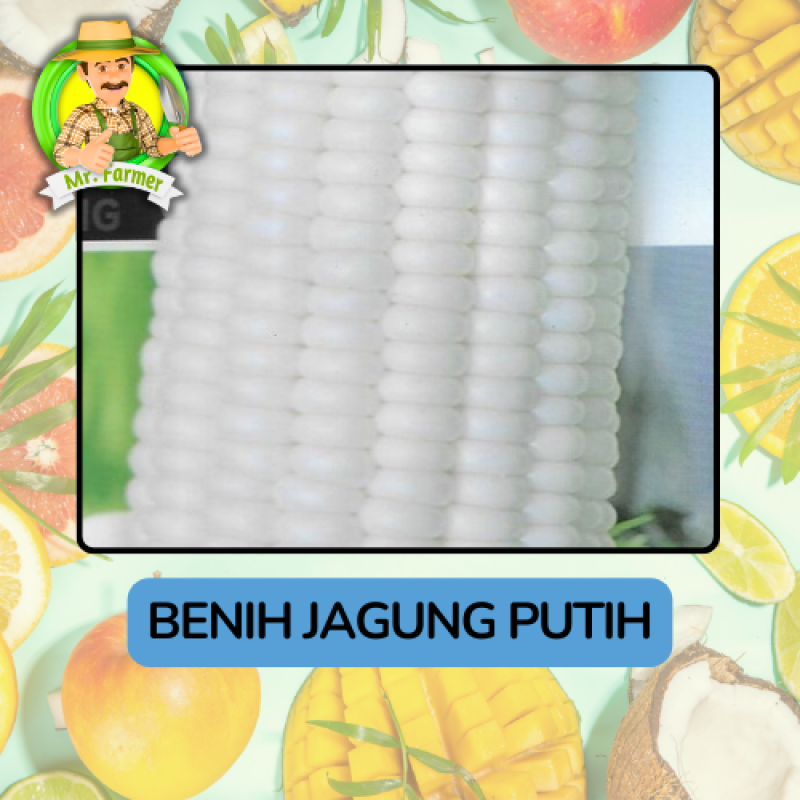 Benih Buah Buahan Bibit Biji Tanaman Organik Benih Buah Buahan Bibit Biji Tanaman Organik