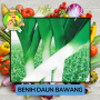 Benih Sayuran Daun Bawang Bibit Biji Tanaman