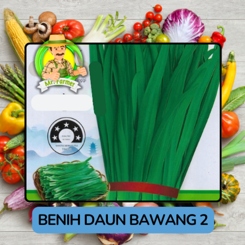 Benih Sayuran Daun Bawang Bibit Biji Tanaman Benih Sayuran Daun Bawang Bibit Biji Tanaman