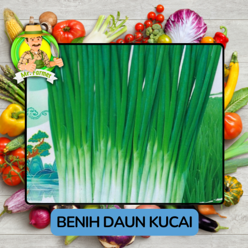 Benih Sayuran Daun Bawang Bibit Biji Tanaman Benih Sayuran Daun Bawang Bibit Biji Tanaman