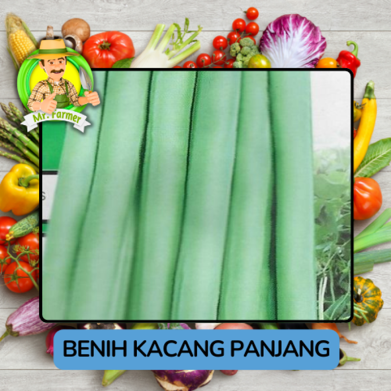 Benih Sayuran Kacang Panjang Bibit Biji Tanaman Benih Sayuran Kacang Panjang Bibit Biji Tanaman