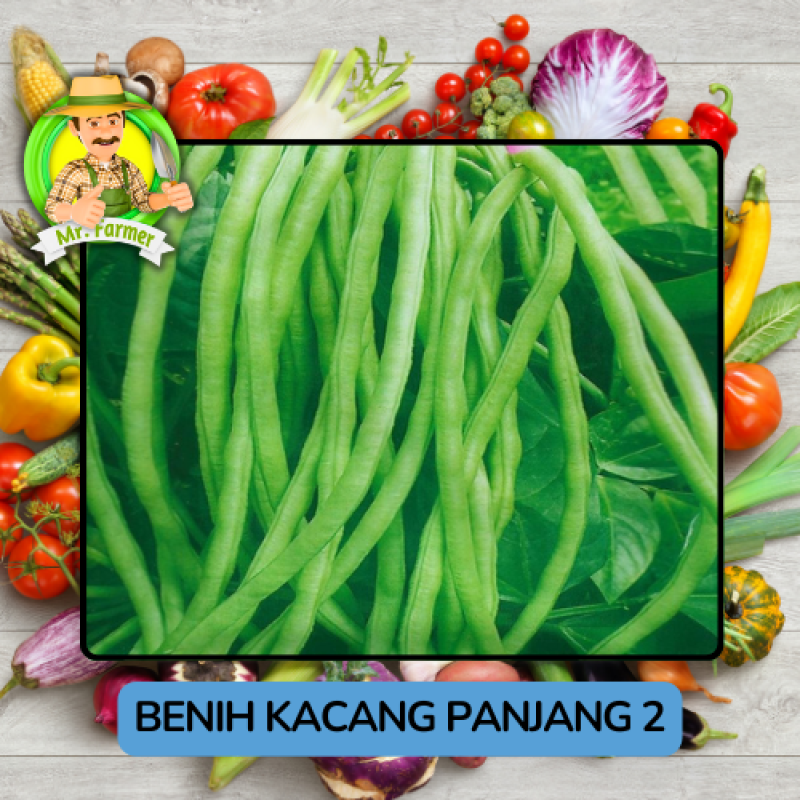 Benih Sayuran Kacang Panjang Bibit Biji Tanaman Benih Sayuran Kacang Panjang Bibit Biji Tanaman