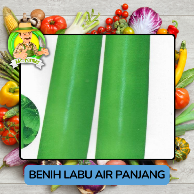 Benih Sayuran Labu Bibit Biji Tanaman Benih Sayuran Labu Bibit Biji Tanaman