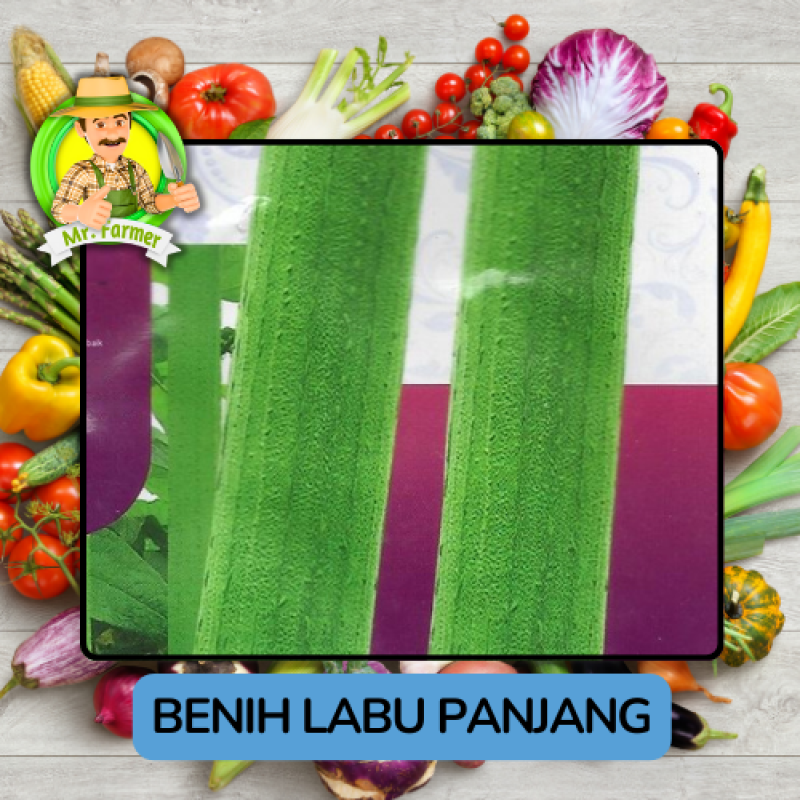 Benih Sayuran Labu Bibit Biji Tanaman Benih Sayuran Labu Bibit Biji Tanaman
