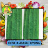 Benih Sayuran Labu Bibit Biji Tanaman