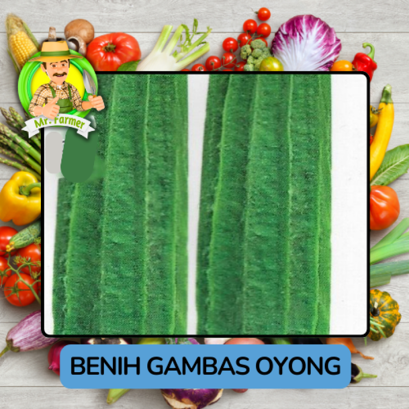 Benih Sayuran Labu Bibit Biji Tanaman Benih Sayuran Labu Bibit Biji Tanaman