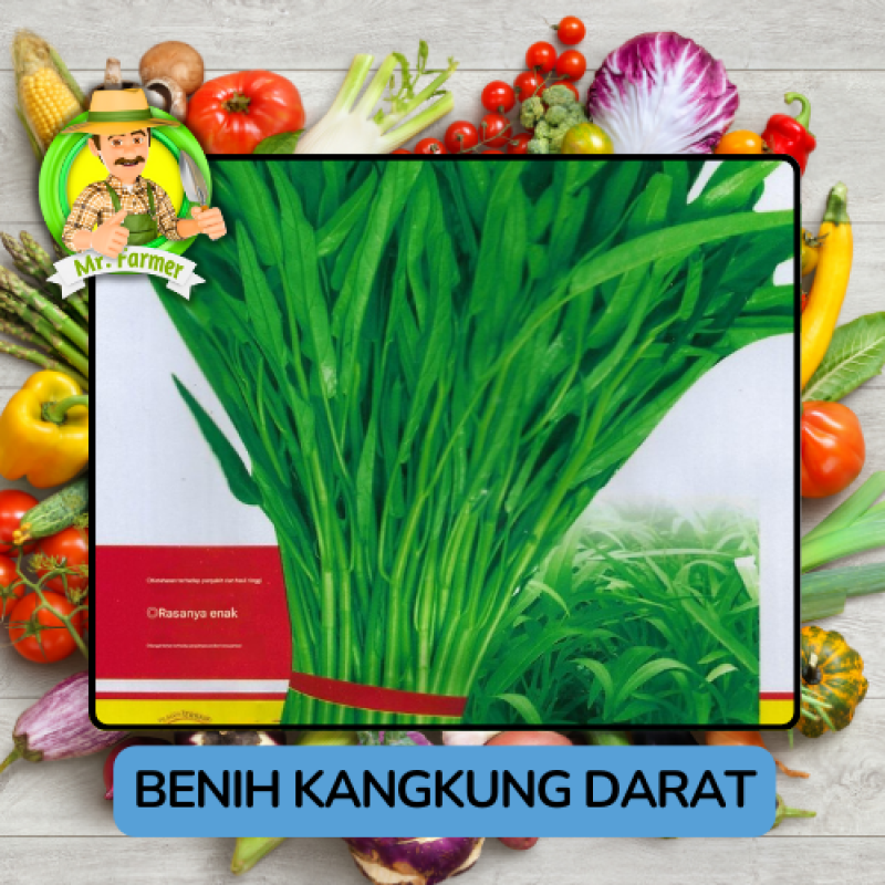 Benih Sayuran Kangkung Bibit Biji Tanaman Benih Sayuran Kangkung Bibit Biji Tanaman
