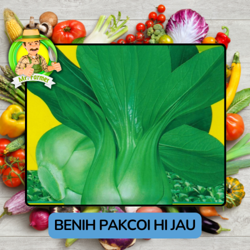 Benih Sayuran Pakcoi Bibit Biji Tanaman Benih Sayuran Pakcoi Bibit Biji Tanaman