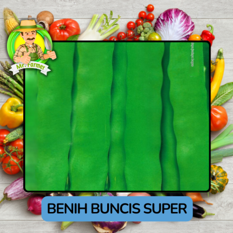 Benih Sayuran Buncis Bibit Biji Tanaman Benih Sayuran Buncis Bibit Biji Tanaman