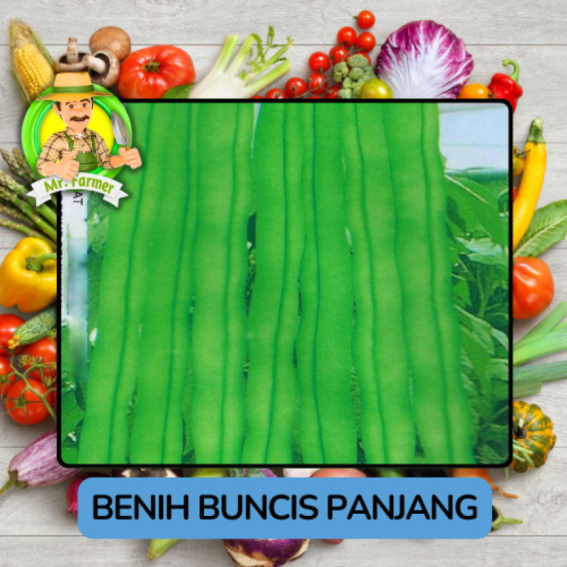 Benih Sayuran Buncis Bibit Biji Tanaman Benih Sayuran Buncis Bibit Biji Tanaman