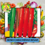 Benih Cabai Rawit Besar Paprika Bibit Biji Tanaman