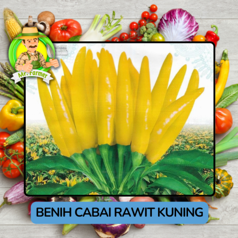 Benih Cabai Rawit Besar Paprika Bibit Biji Tanaman Benih Cabai Rawit Besar Paprika Bibit Biji Tanaman