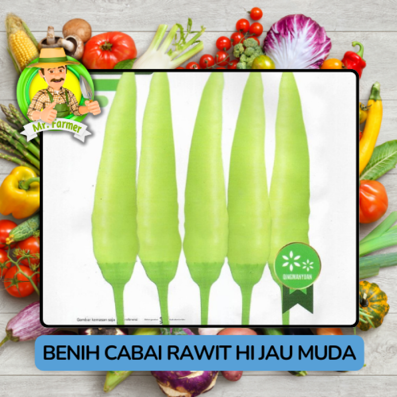 Benih Cabai Rawit Besar Paprika Bibit Biji Tanaman Benih Cabai Rawit Besar Paprika Bibit Biji Tanaman