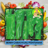 Benih Cabai Rawit Besar Paprika Bibit Biji Tanaman Benih Cabai Rawit Besar Paprika Bibit Biji Tanaman
