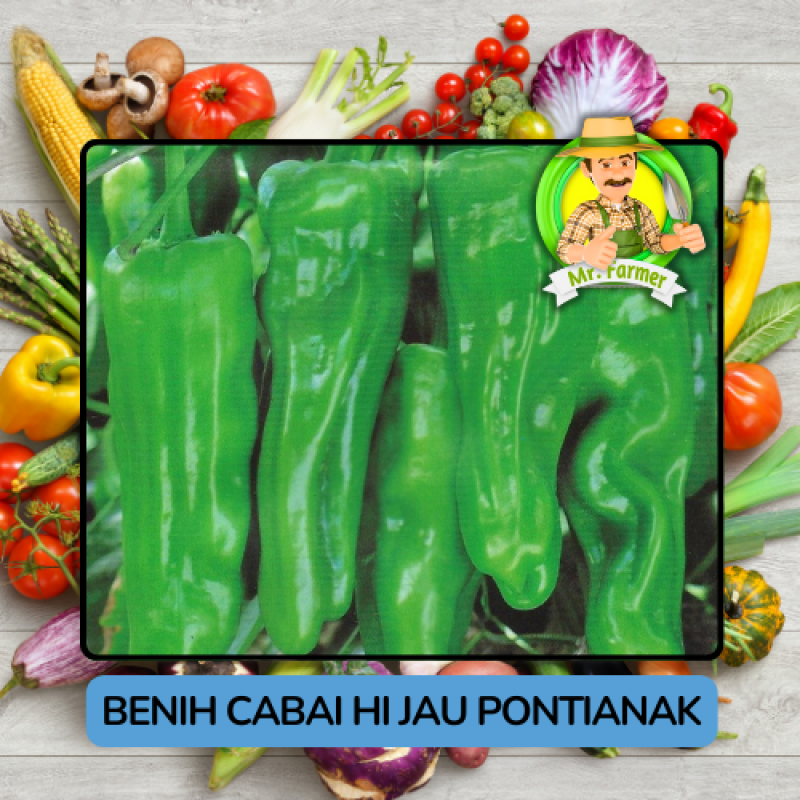 Benih Cabai Rawit Besar Paprika Bibit Biji Tanaman Benih Cabai Rawit Besar Paprika Bibit Biji Tanaman