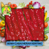 Benih Cabai Rawit Besar Paprika Bibit Biji Tanaman Benih Cabai Rawit Besar Paprika Bibit Biji Tanaman