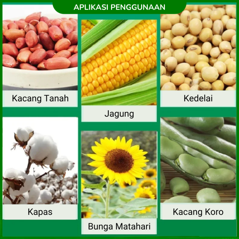 Alat Tanam Benih Jagung Kacang Padi Dorong Manual 8 Lubang Alat Tanam Benih Jagung Kacang Padi Dorong Manual 8 Lubang