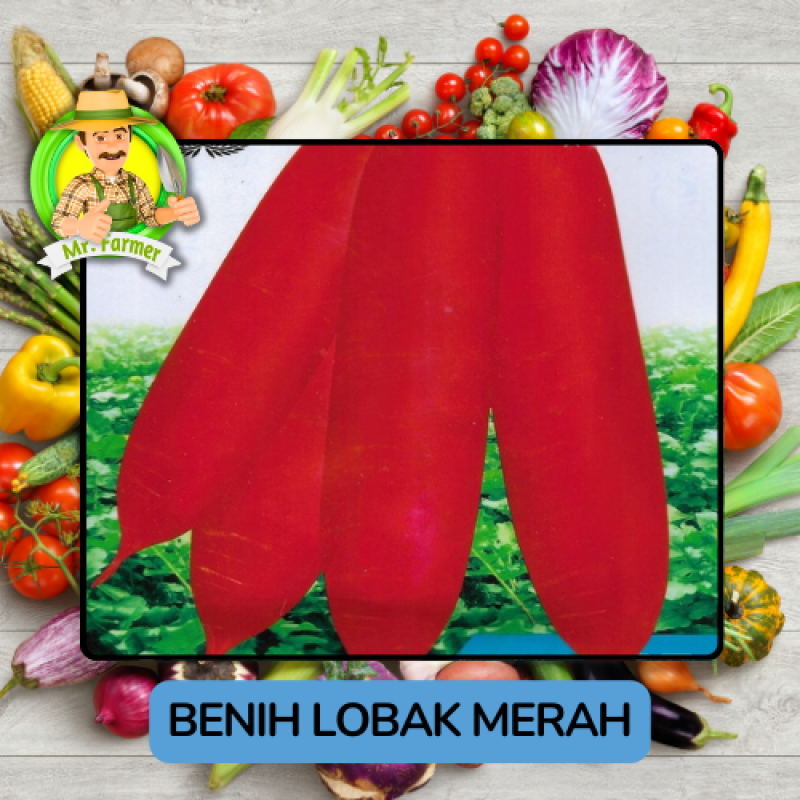 Benih Lobak Merah Bibit Biji Tanaman Benih Lobak Merah Bibit Biji Tanaman