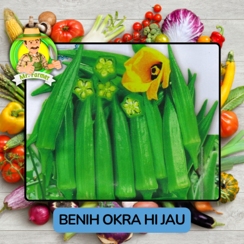 Benih Sayuran Okra Merah Hijau Bibit Biji Tanaman Benih Sayuran Okra Merah Hijau Bibit Biji Tanaman