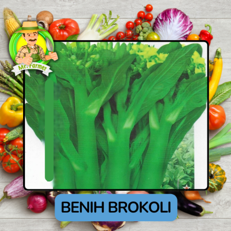 Benih Brokoli Bibit Biji Tanaman Benih Brokoli Bibit Biji Tanaman
