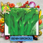 Benih Brokoli Bibit Biji Tanaman