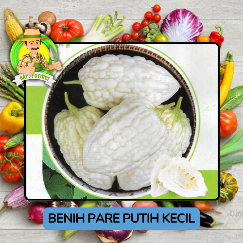 Benih Sayuran Pare Besar Putih Hijau Bibit Biji Tanaman Benih Sayuran Pare Besar Putih Hijau Bibit Biji Tanaman