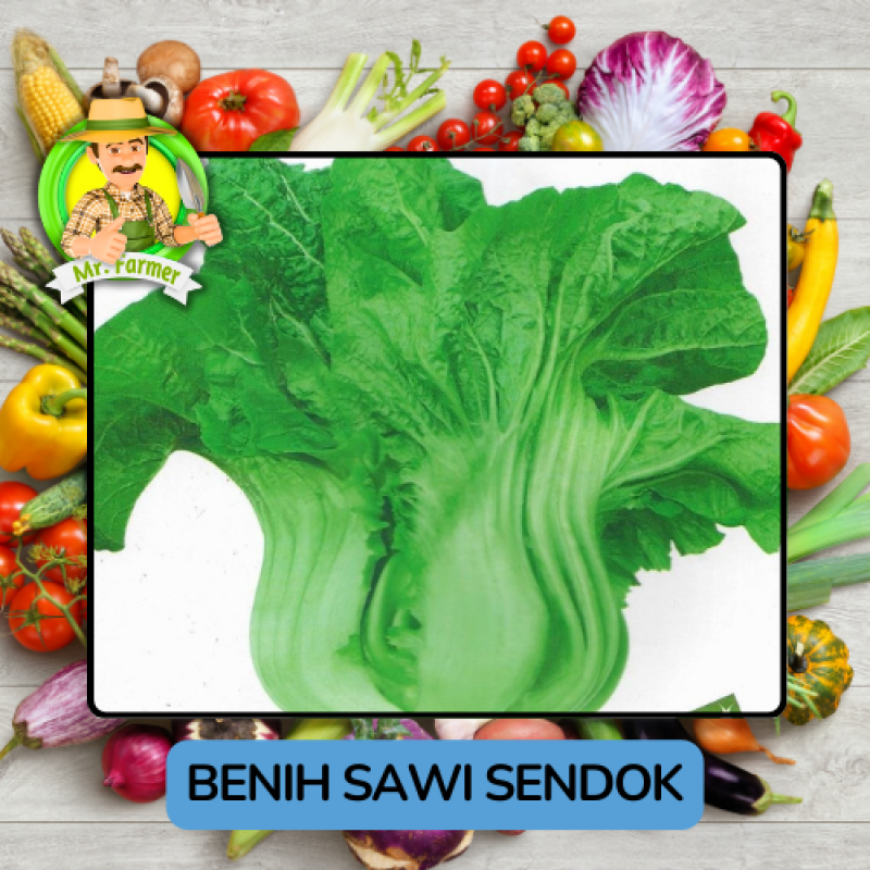 Benih Sayuran Sawi Hijau Putih Bibit Biji Tanaman Benih Sayuran Sawi Hijau Putih Bibit Biji Tanaman