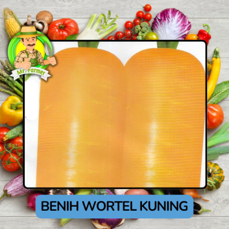 Benih Sayuran Wortel Ungu Kuning Bibit Biji Tanaman