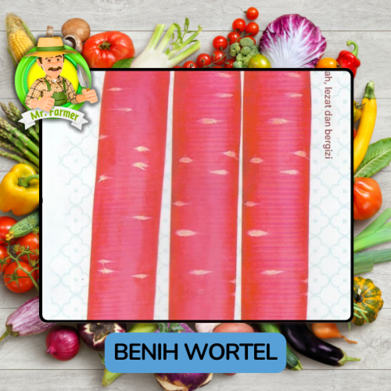 Benih Sayuran Wortel Ungu Kuning Bibit Biji Tanaman Benih Sayuran Wortel Ungu Kuning Bibit Biji Tanaman