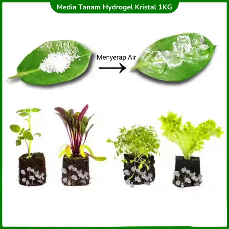 Hydrogel Super Kristal Media Tanam Hidrogel 1 KG Hydrogel Super Kristal Media Tanam Hidrogel 1 KG