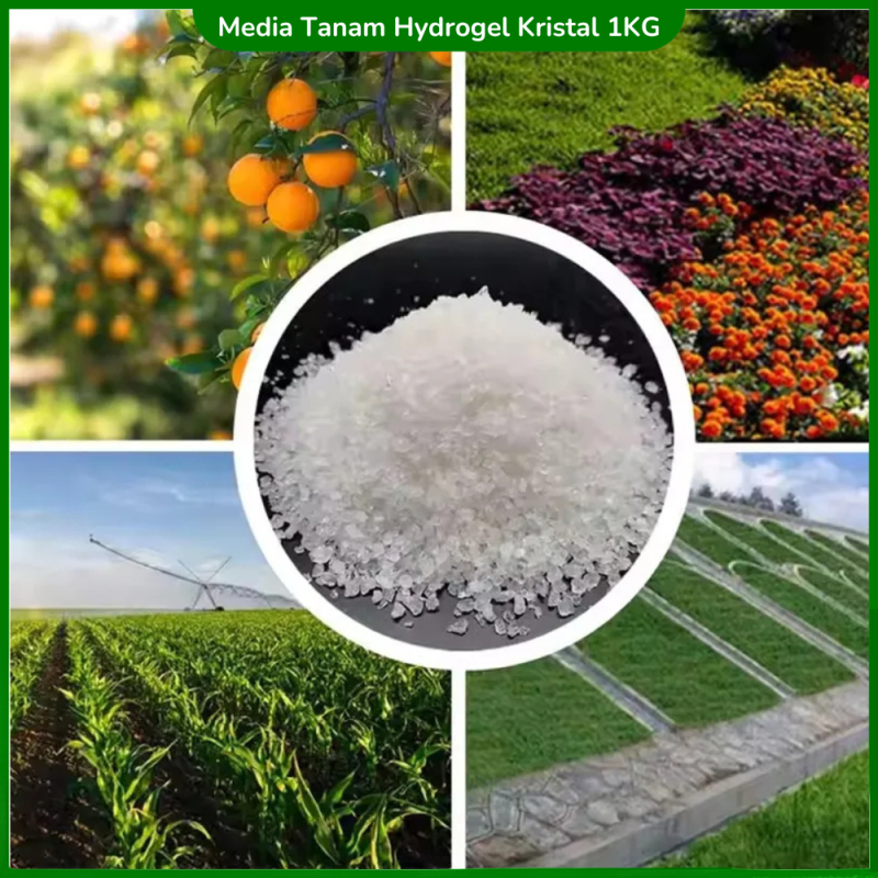 Hydrogel Super Kristal Media Tanam Hidrogel 1 KG Hydrogel Super Kristal Media Tanam Hidrogel 1 KG