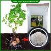 Hydrogel Super Kristal Media Tanam Hidrogel 1 KG Hydrogel Super Kristal Media Tanam Hidrogel 1 KG