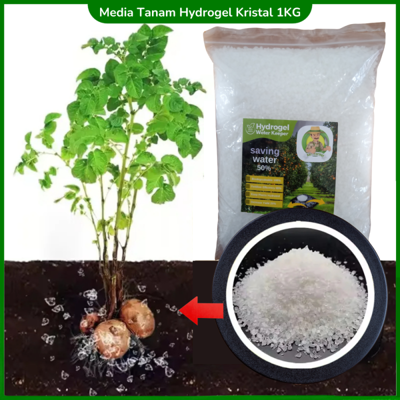 Hydrogel Super Kristal Media Tanam Hidrogel 1 KG Hydrogel Super Kristal Media Tanam Hidrogel 1 KG