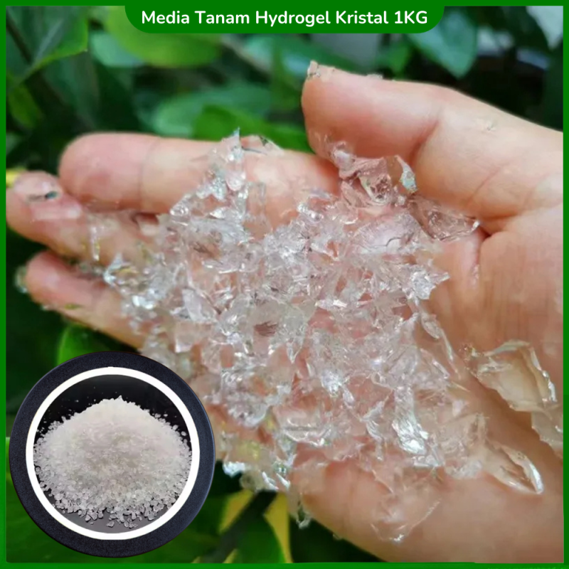 Hydrogel Super Kristal Media Tanam Hidrogel 1 KG Hydrogel Super Kristal Media Tanam Hidrogel 1 KG