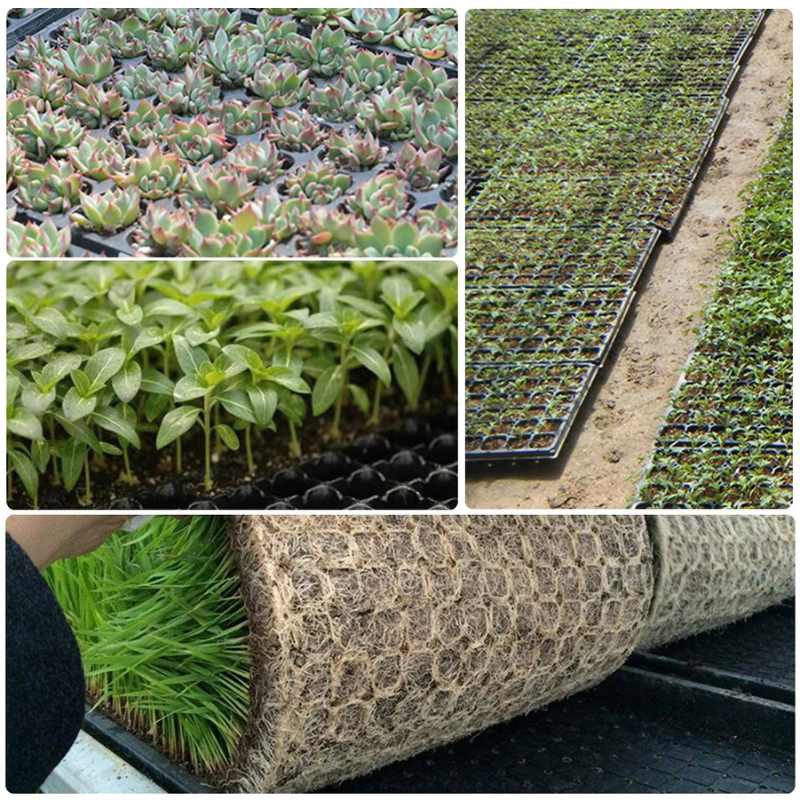 Tray Semai Sayuran Pot Benih Bibit Tanaman Hidroponik Tray Semai Sayuran Pot Benih Bibit Tanaman Hidroponik