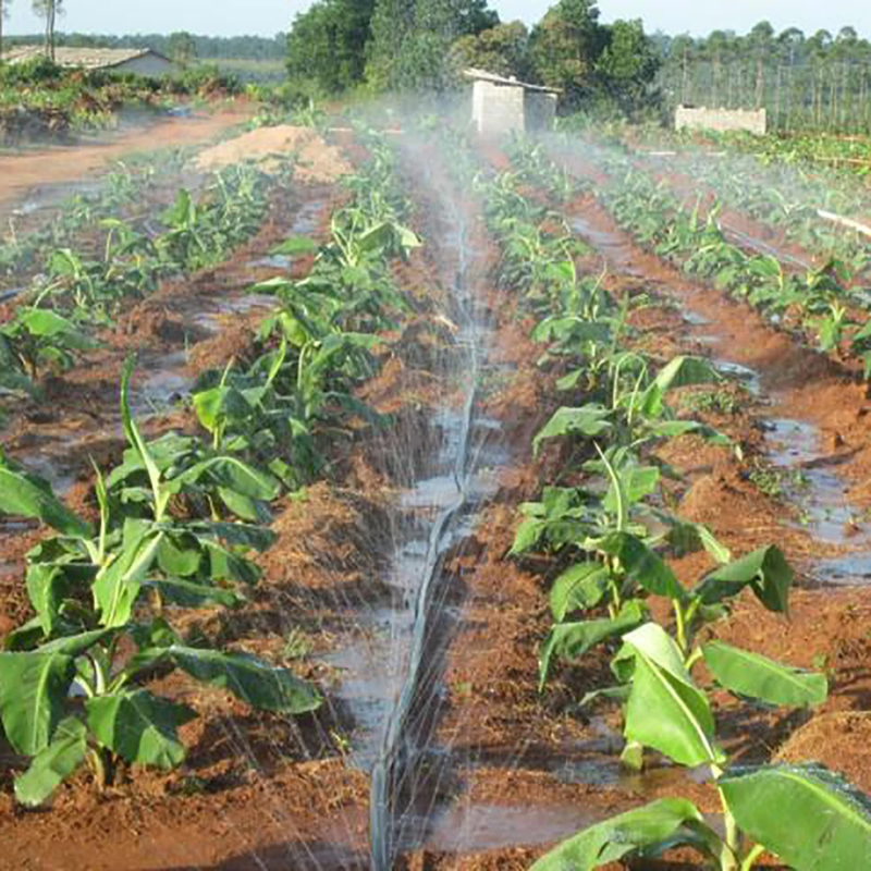 Selang Drip Irigasi Pertanian Pipa 1 inch Panjang 100 Meter Selang Drip Irigasi Pertanian Pipa 1 inch Panjang 100 Meter