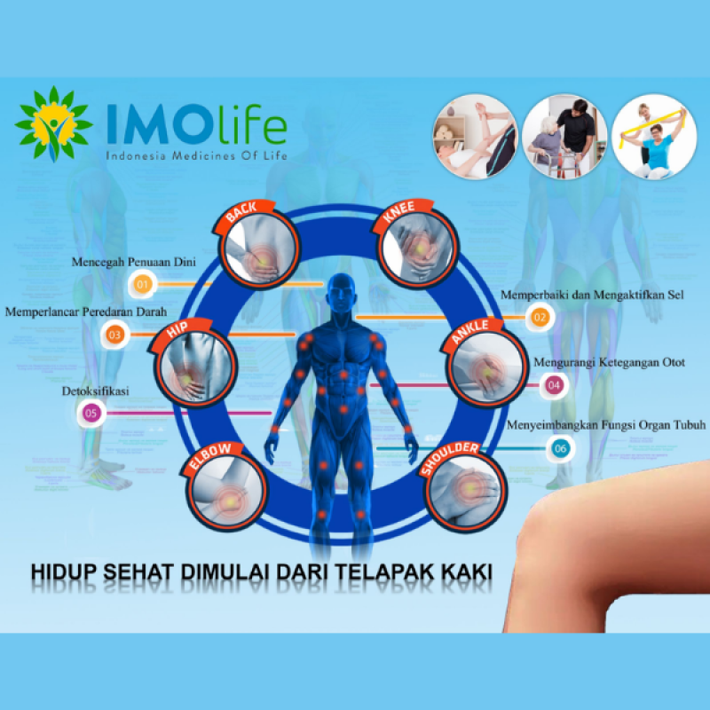 Alat Terapi Kesehatan IMOLife Tera P95 Alat Terapi Kesehatan IMOLife Tera P95