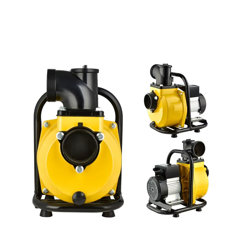 Pompa Irigasi 2 Inch DC 48V