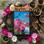 Benih Bunga Cosmos Bipinnatus