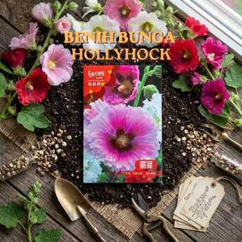 Benih Bunga Hollyhock