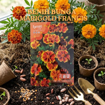 Benih Bunga Marigold Prancis