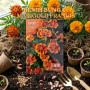Benih Bunga Marigold Prancis