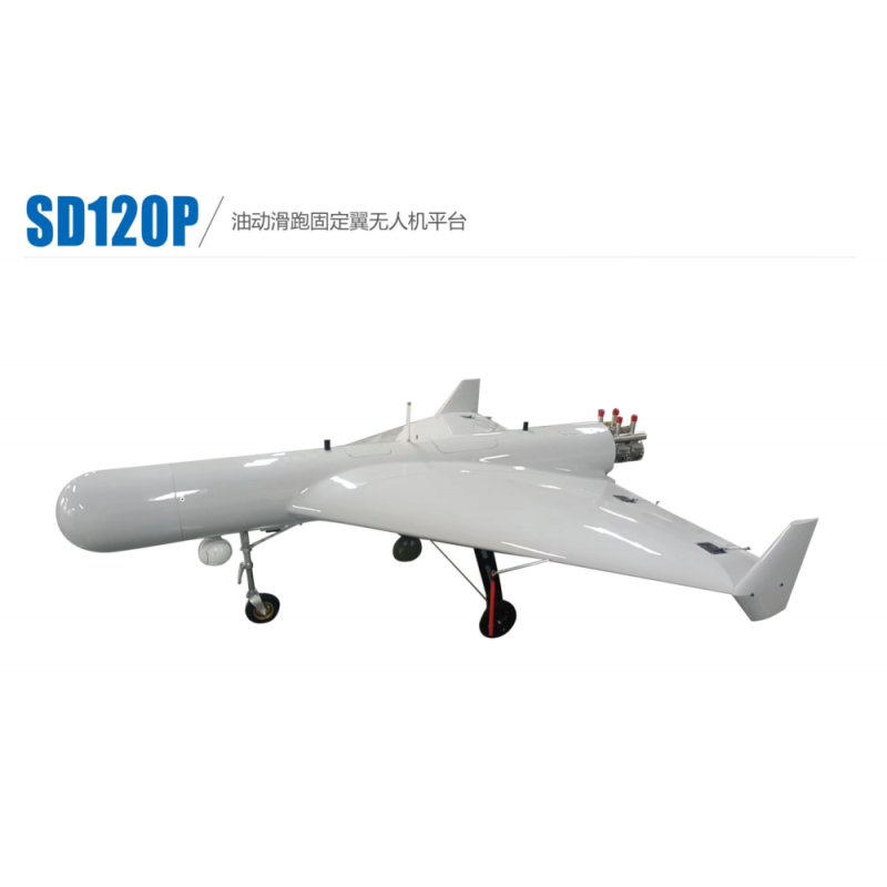 Delta wing drone