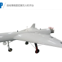 Delta wing drone