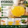 Kristal Air Hidrogel - Bio-Soil Hydrogel 1Kg/Kantong (Warna Kuning)