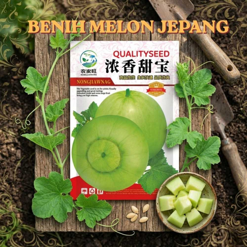 Benih Melon Jepang
