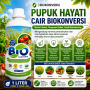 Pupuk Cair Biokonversi 1 Liter