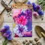 Benih Bunga Jagung - Milu Biru - Cornflower